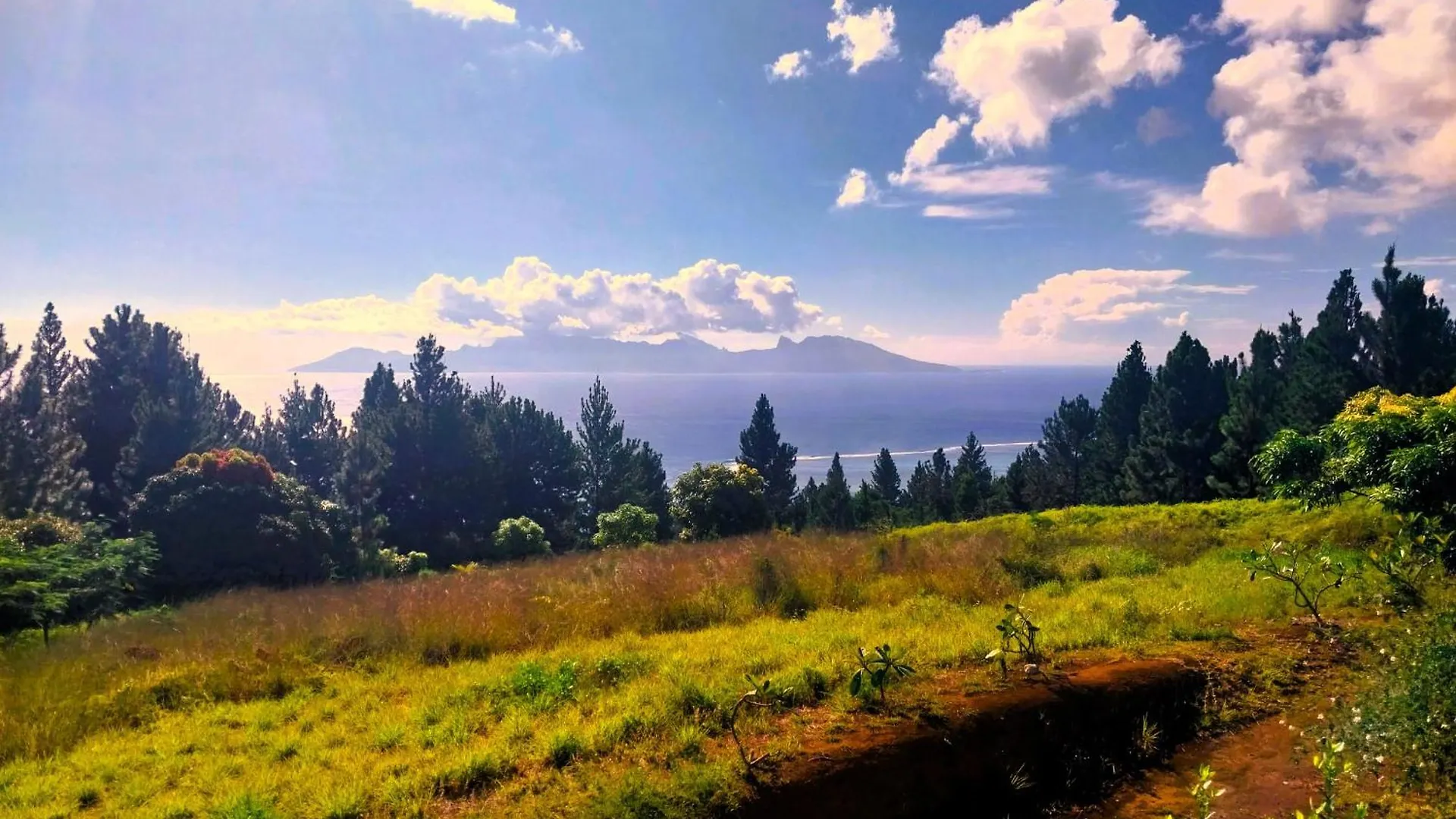 ヴィラ Tahiti Hills Lodge - 12 Pers プナアウィア